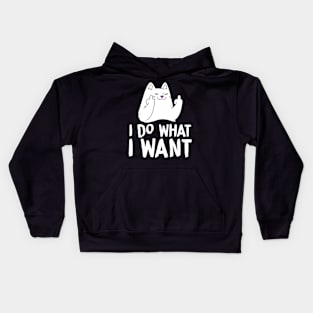 I Do What I Want With My Cat Funny Cat Kids Hoodie